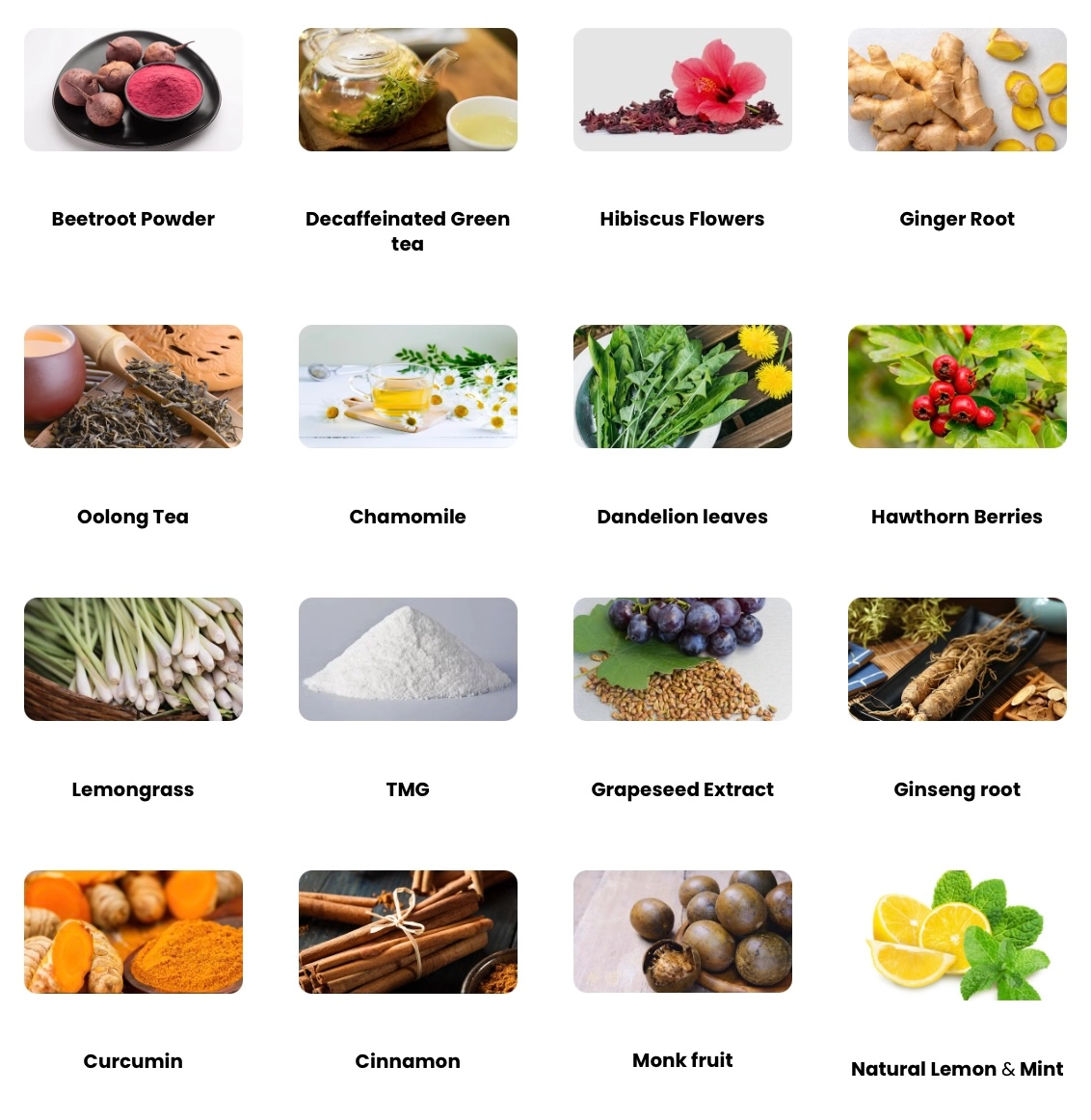 Infographic showing the key ingredients of Cardio Slim Tea